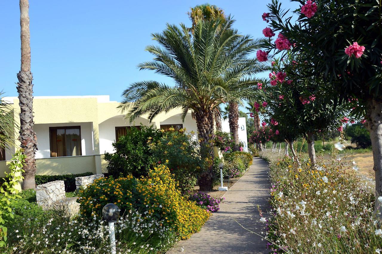 Muses Hotel Faliraki Exteriér fotografie